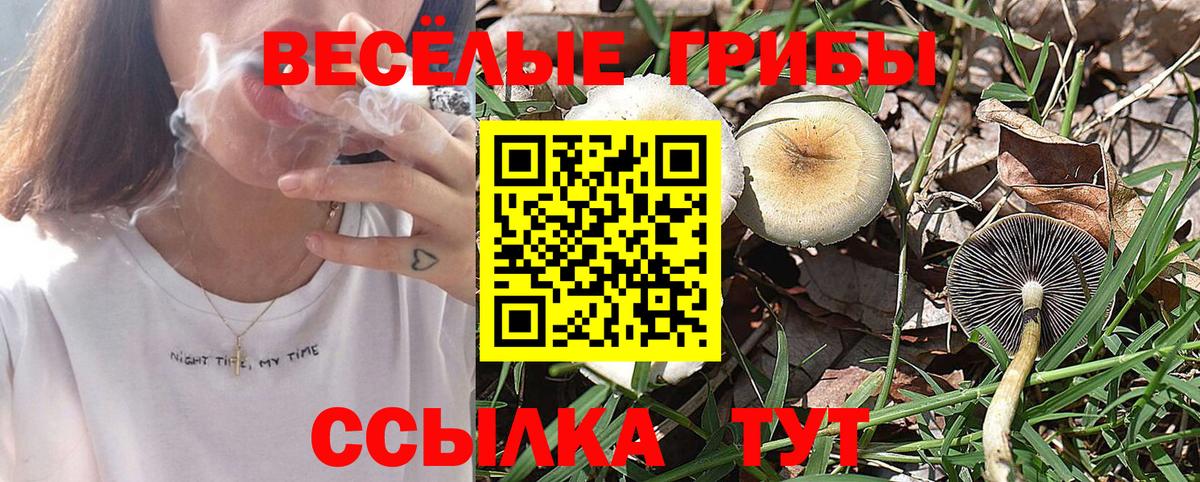 Псилоцибиновые грибы Magic Shrooms Избербаш