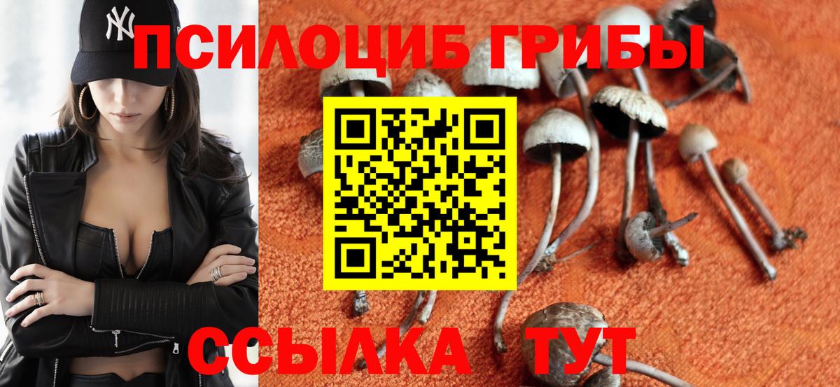 Псилоцибиновые грибы мухоморы  Вход с VPN  Избербаш 